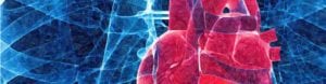 FRRB - cursos - ACLS EP - capa